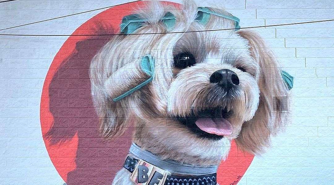 JEKS @ Winston-Salem, USA