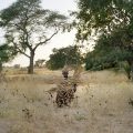 Mane (Senegal 2019) © Karoline Hjorth and Riitta Ikonen