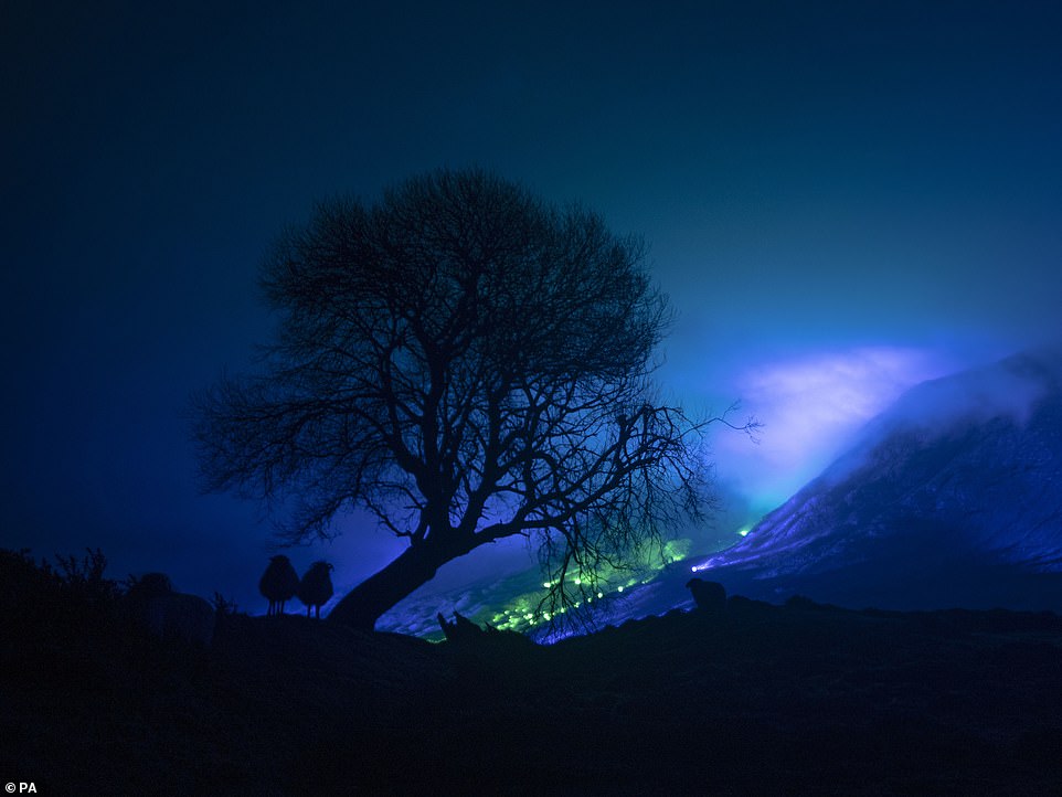 "Savage Beauty" by Kari Kola