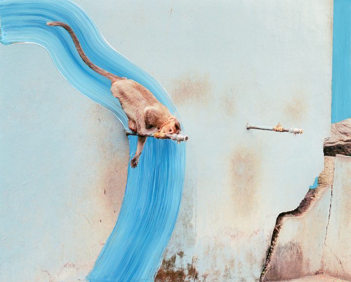 Vasantha Yogananthan