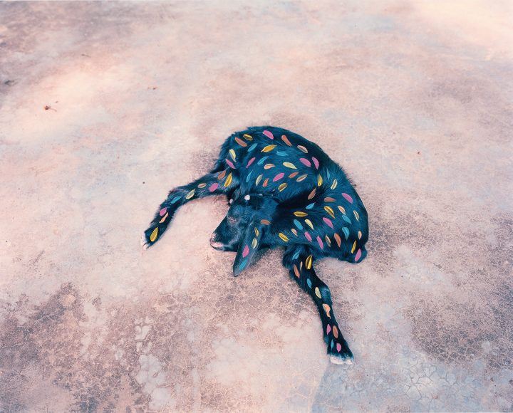 Vasantha Yogananthan