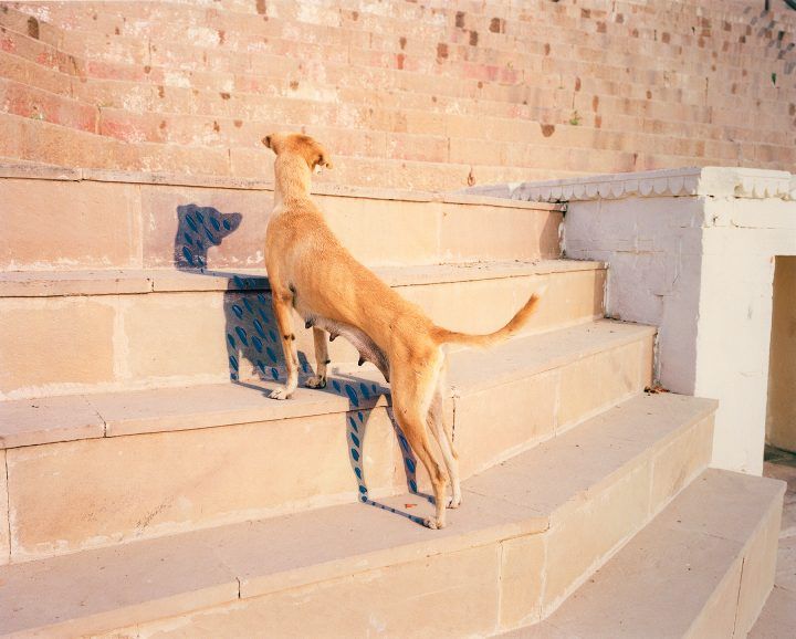 Vasantha Yogananthan