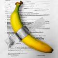 Autocertificazioni Illustrate – Banana su autocertificazione, tecnica mista @susanna.gianni