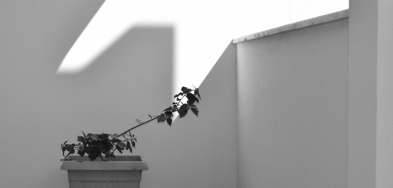 Casa amara casa - Foografia di Barbara Picci