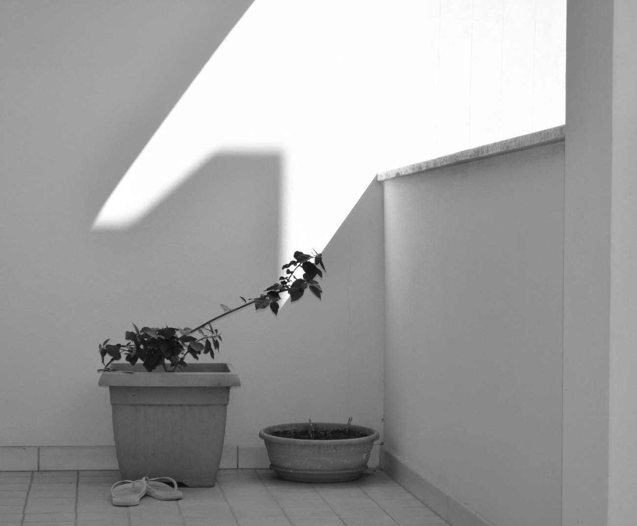 Casa amara casa - Foografia di Barbara Picci