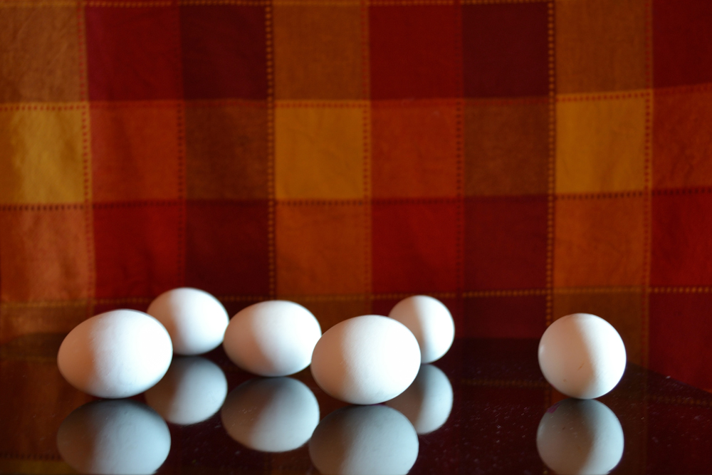 Casa amara casa - Natura erotica - Il tremito delle uova