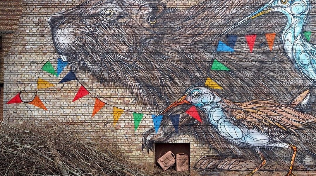 Dzia @ Rumst, Belgium