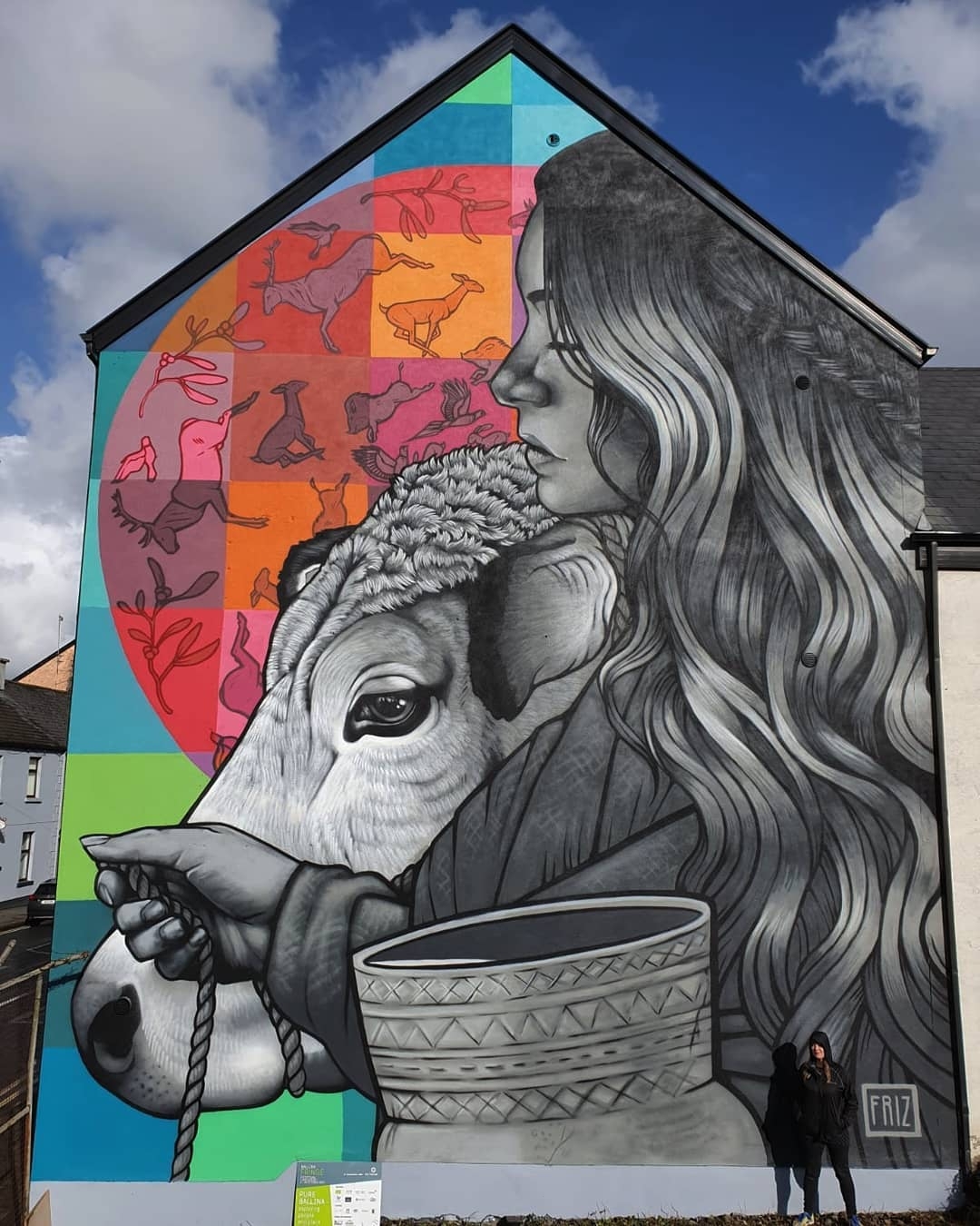 FRIZ @ Ballina, Ireland