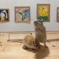 Gerbil Art Gallery by Filippo Lorenzin & Marianna Benetti 1