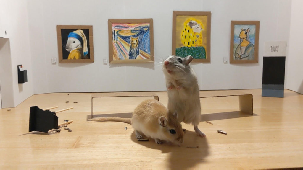Gerbil Art Gallery by Filippo Lorenzin & Marianna Benetti Gerbil Art Gallery by Filippo Lorenzin & Marianna Benetti