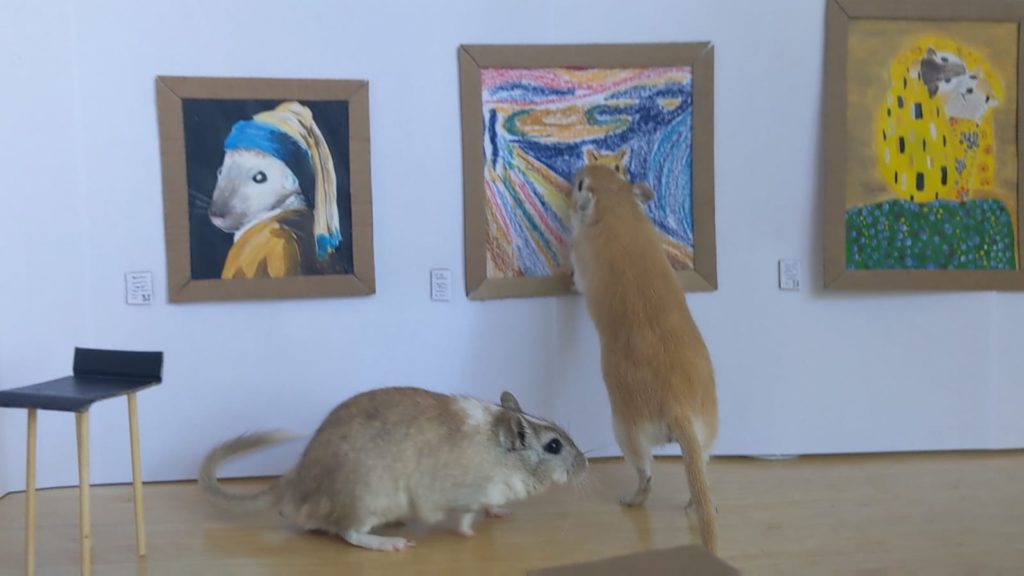 Gerbil Art Gallery by Filippo Lorenzin & Marianna Benetti