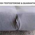 High testosterone & quarantine by ᴄᴏɴᴄᴇᴘᴛᴜᴀʟ_x