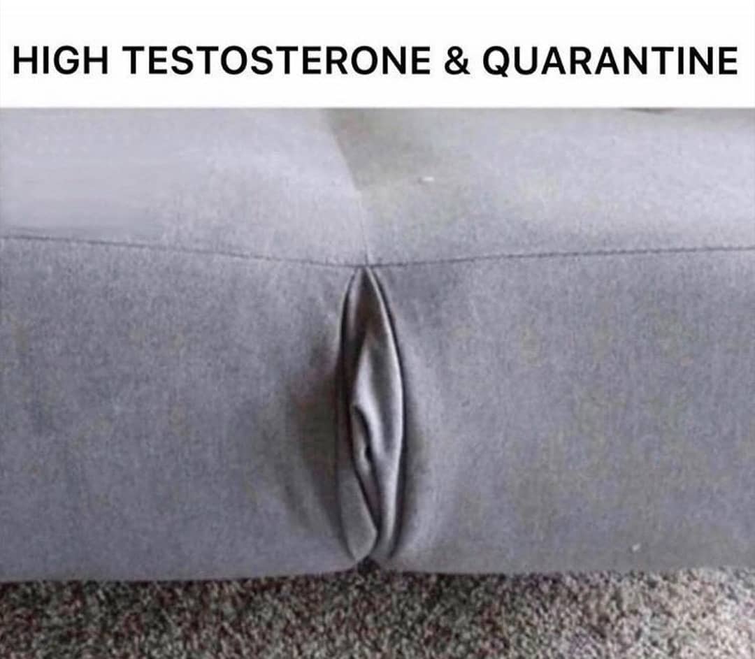 High testosterone & quarantine by ᴄᴏɴᴄᴇᴘᴛᴜᴀʟ_x