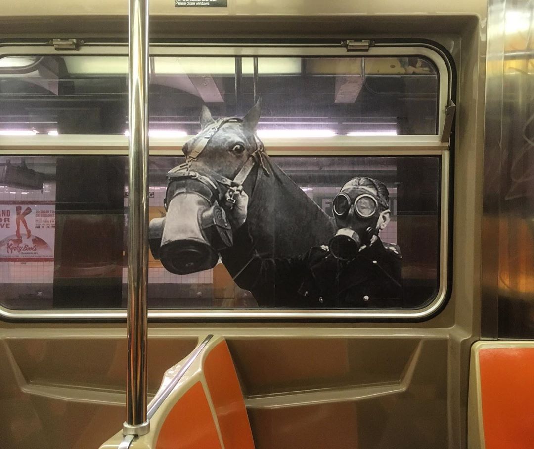 Jilly Ballistic @ New York, USA