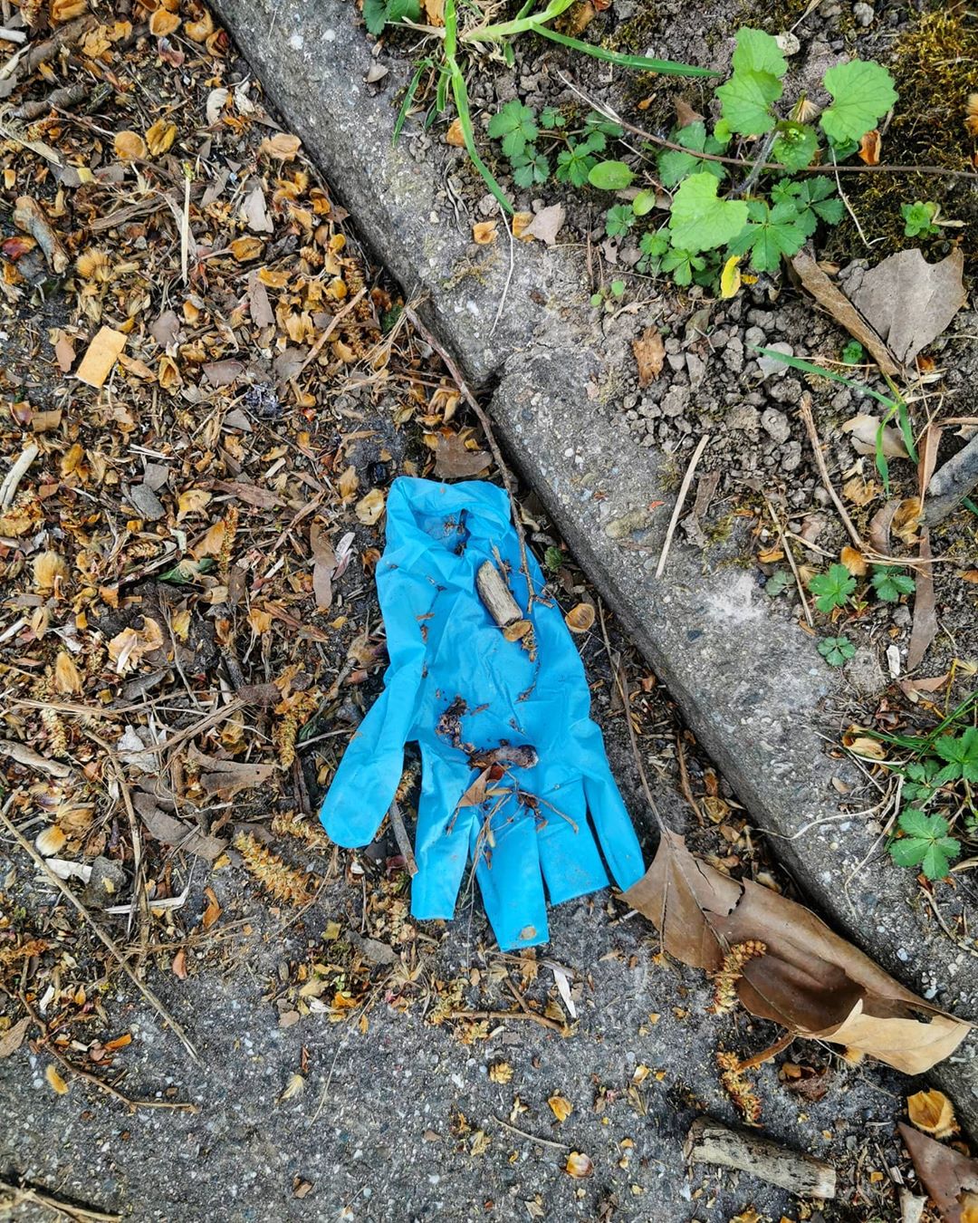 Mónica Urbina Pardo