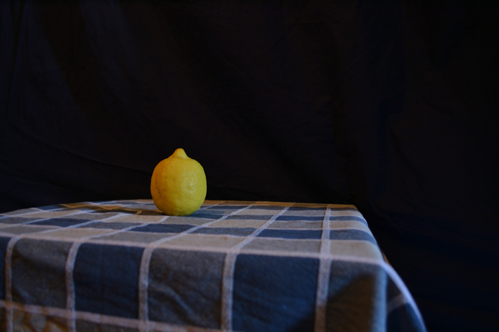 Natura sola - La solitudine del limone. Fotografia di Barbara Picci