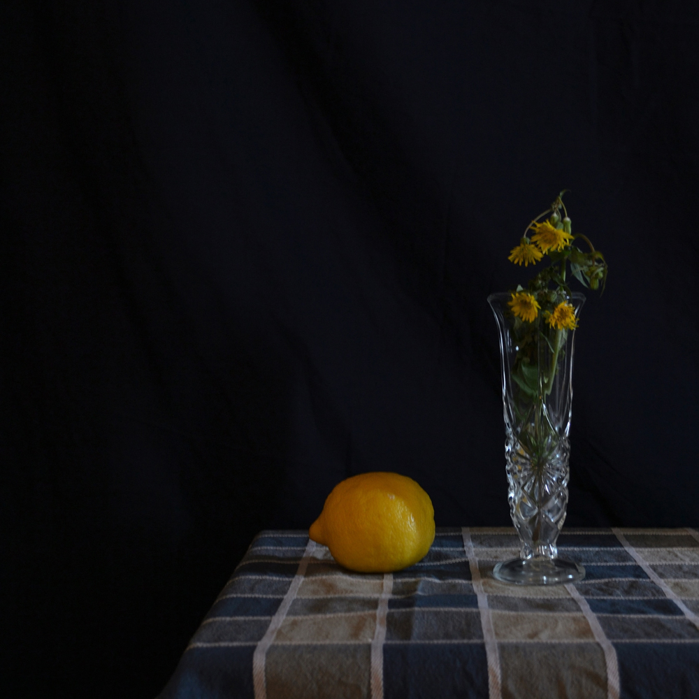 Natura sola - Solitudini affini. Fotografia di Barbara Picci