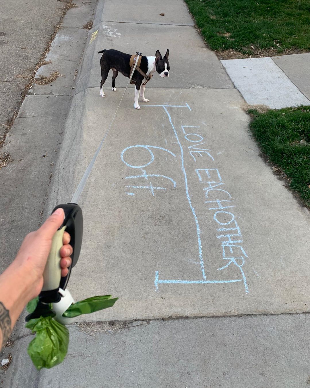 Distanziamento sociale by Opie @opiethebostie