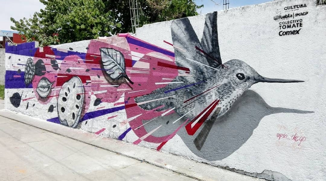 Pio Diego @ Puebla, Mexico