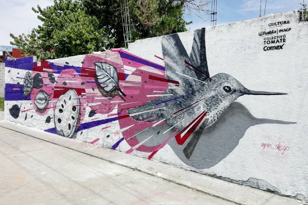 Pio Diego @ Puebla, Mexico