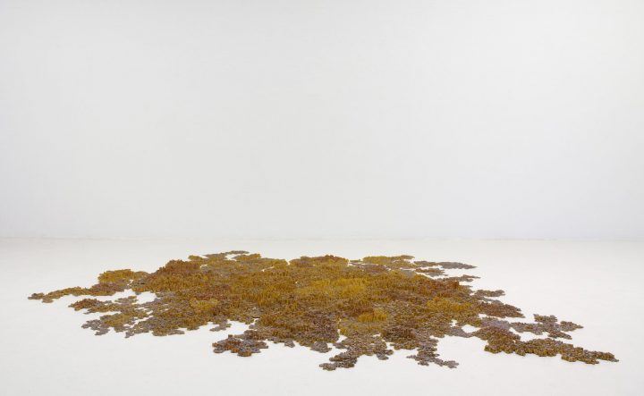 Tara Donovan, Colony, 2005, pencils, 4” x 136” x 113-1/2” (10.2 cm x 345.4 cm x 288.3 cm), overall installed © Tara Donovan