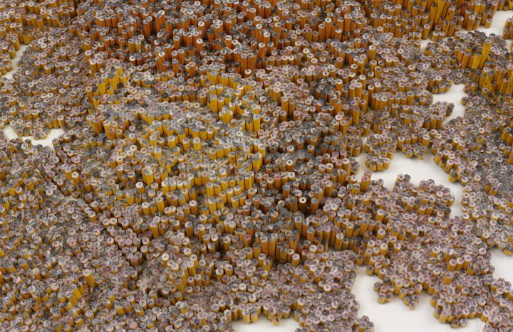 Tara Donovan, Colony, 2005, pencils, 4” x 136” x 113-1/2” (10.2 cm x 345.4 cm x 288.3 cm), overall installed © Tara Donovan