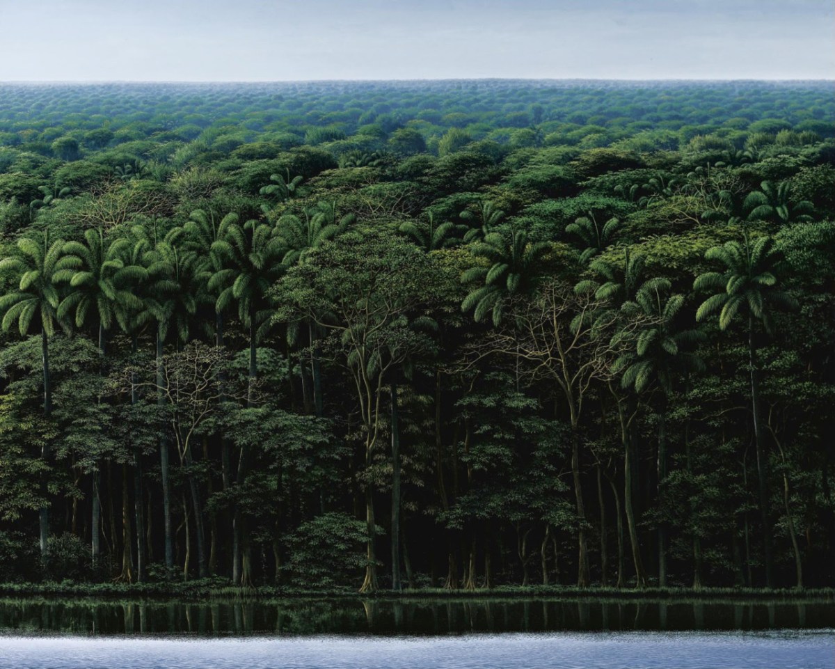 "Orilla y cielo gris" (1995, acrylic on canvas, 23½ x 35½ inches) by Tomás Sánchez