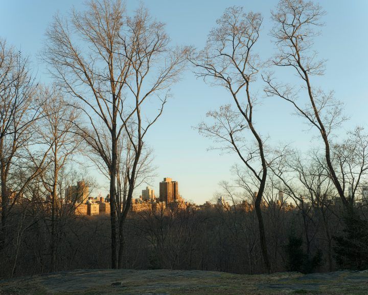 Deafening Silence by Michael Gessner