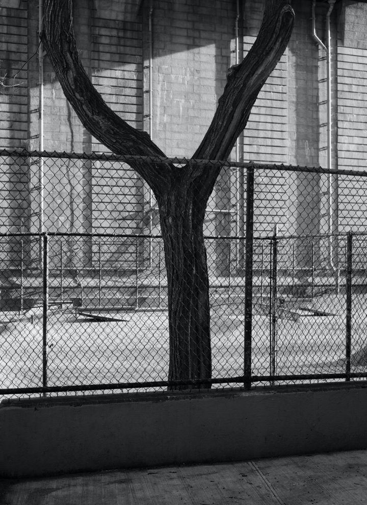 Deafening Silence by Michael Gessner