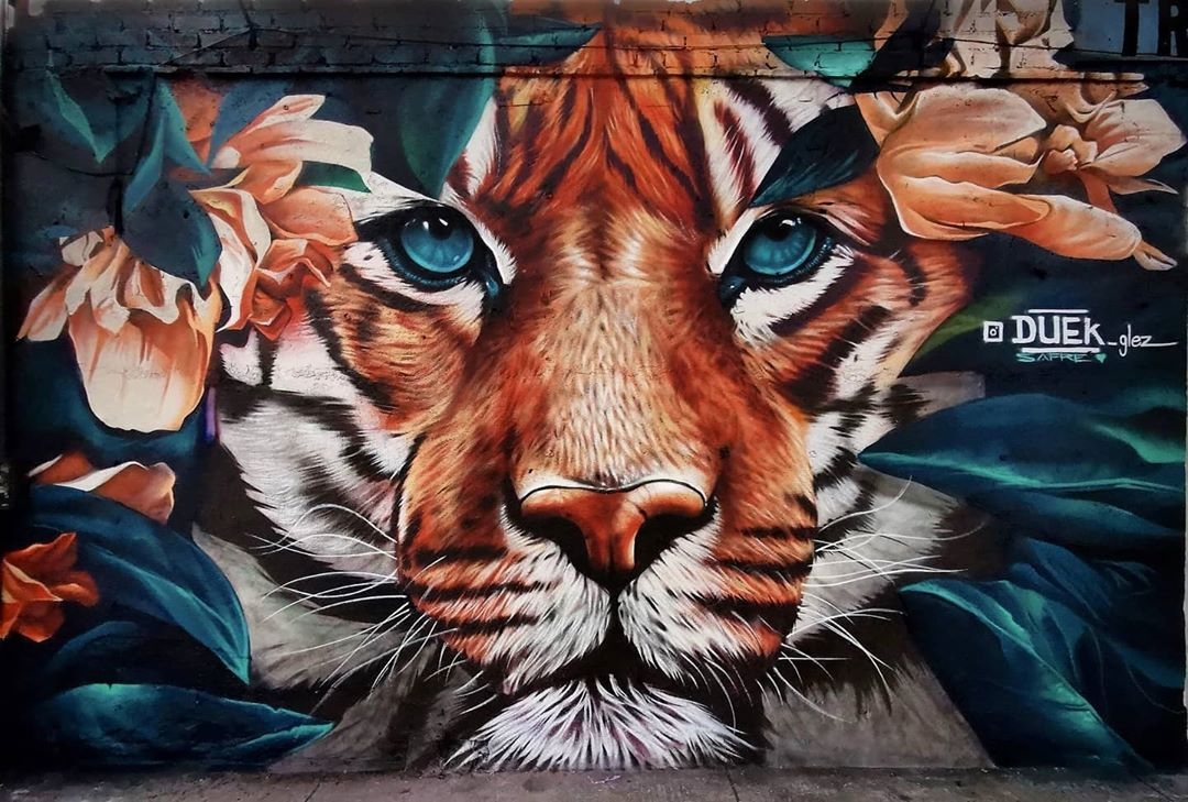 Duek Glez @ Mexico City, Mexico