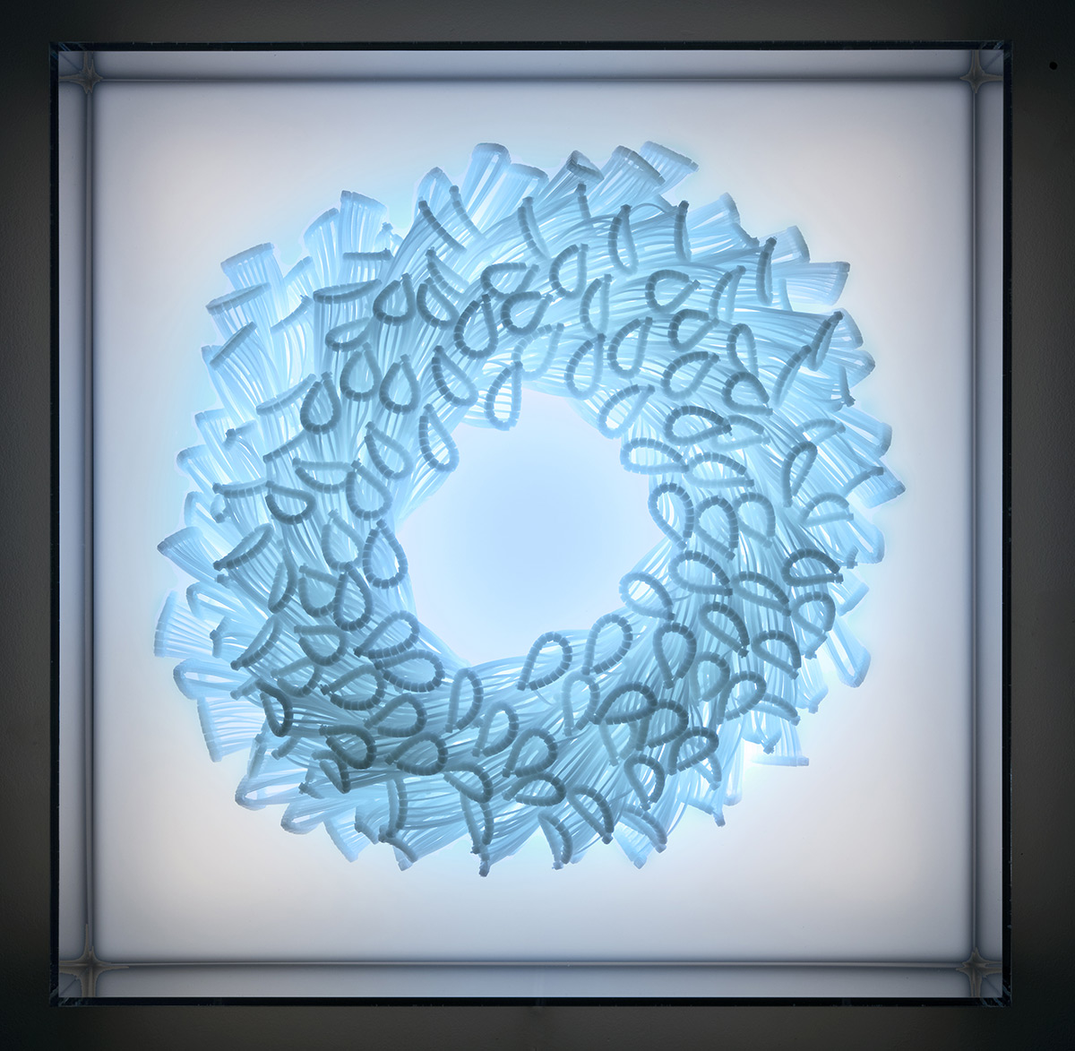 Elisabeth Picard. “Macro-organismes: Couronne” (2011-2016 ), zip-ties, baked enamel steel, plexi lightbox, and programmable RGB LED,  19 x 19 x 8 inches.  Photo by Michel Dubreuil