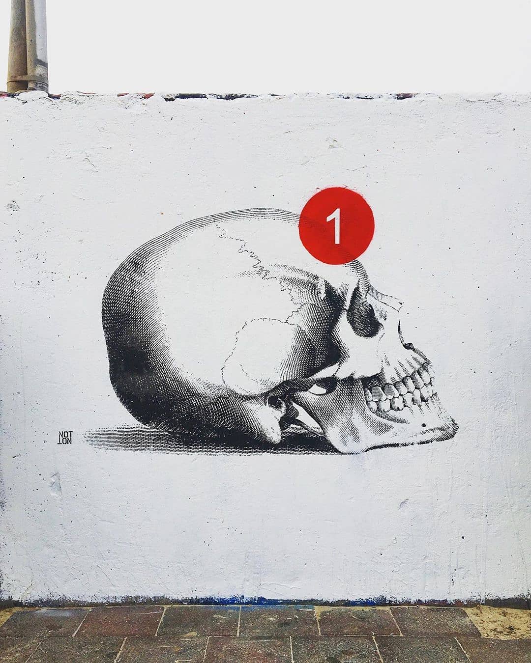 NOTNOT @ Sydney, Australia