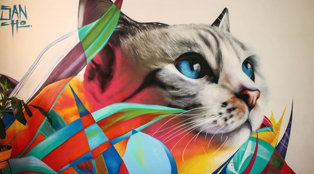 Sancho Medina @ Cali, Colombia