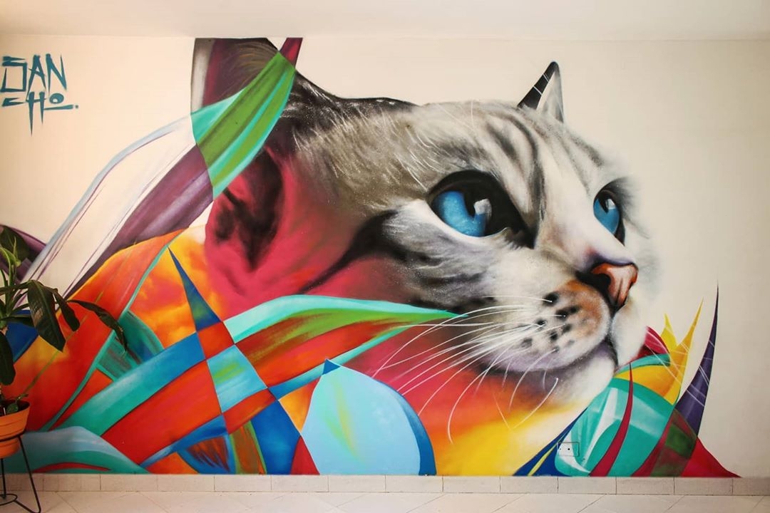 Sancho Medina @ Cali, Colombia