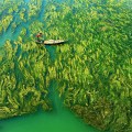 A Journey Outside Our World by Apratim Pal, India