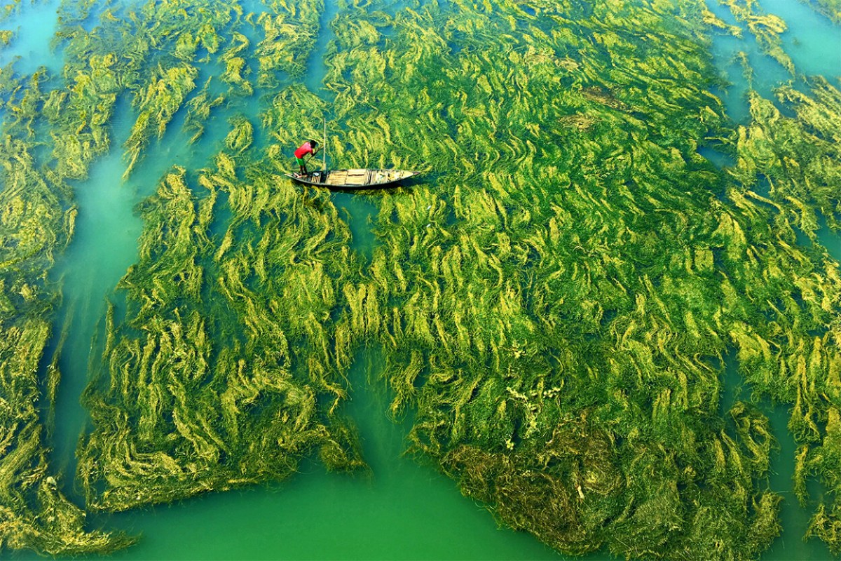 A Journey Outside Our World by Apratim Pal, India
