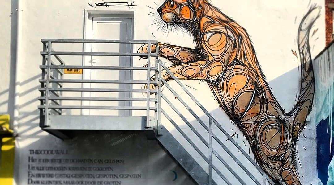 Dzia @ Antwerp, Belgium