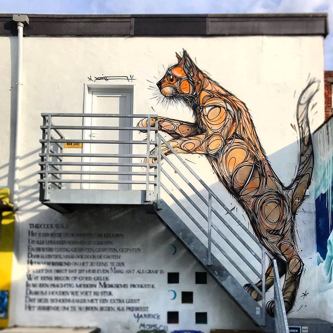 Dzia @ Antwerp, Belgium