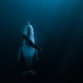 Essence of Life by Jasmine Carey, Australia
