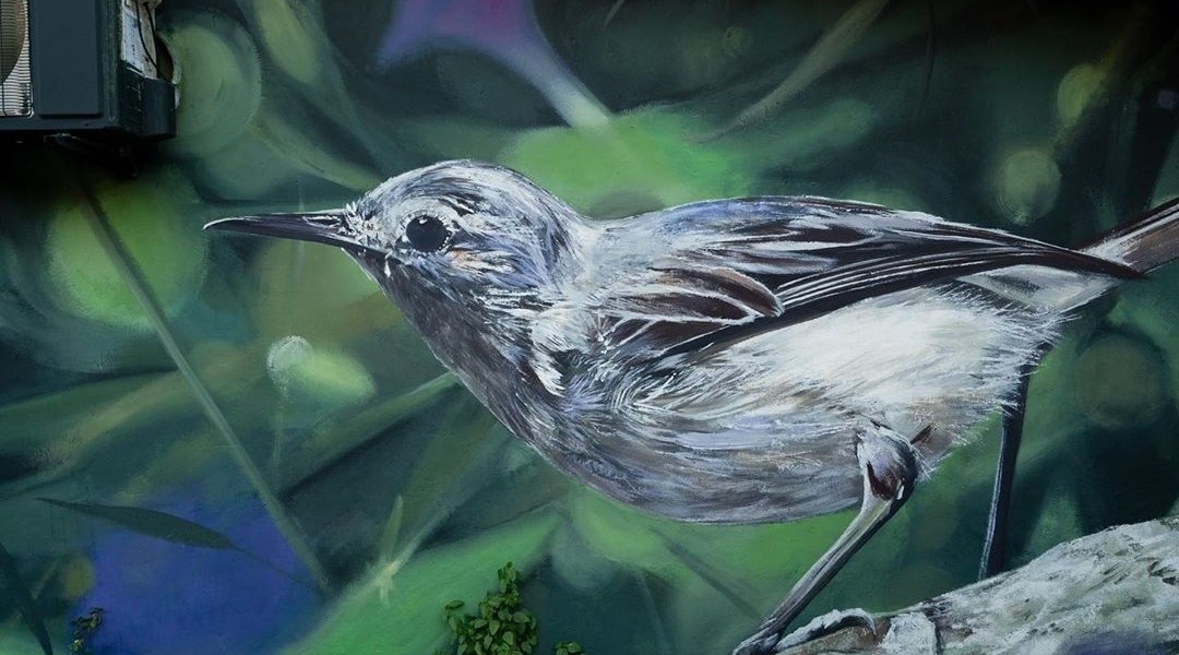 Mantra @ Cancun, Mexico