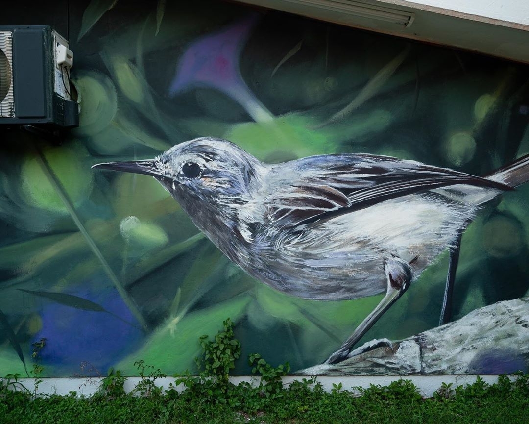 Mantra @ Cancun, Mexico Mantra @ Cancun, Mexico