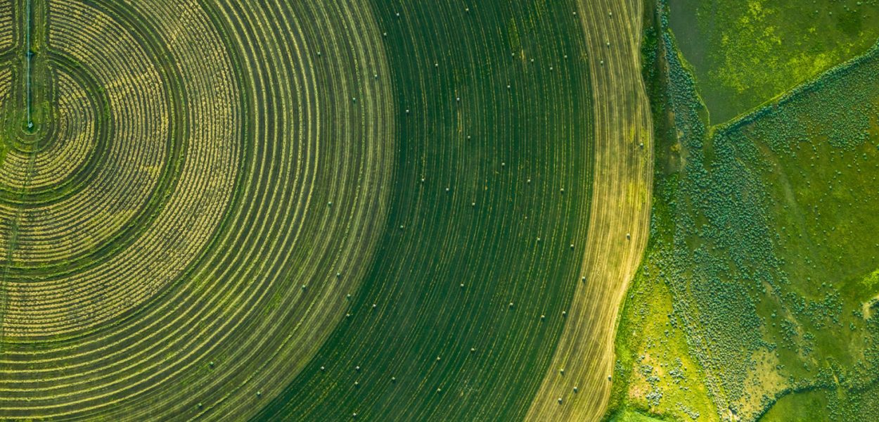 Mitch Rouse (Bridger, Montana)