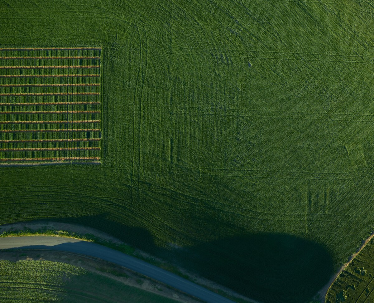Mitch Rouse (The Palouse)