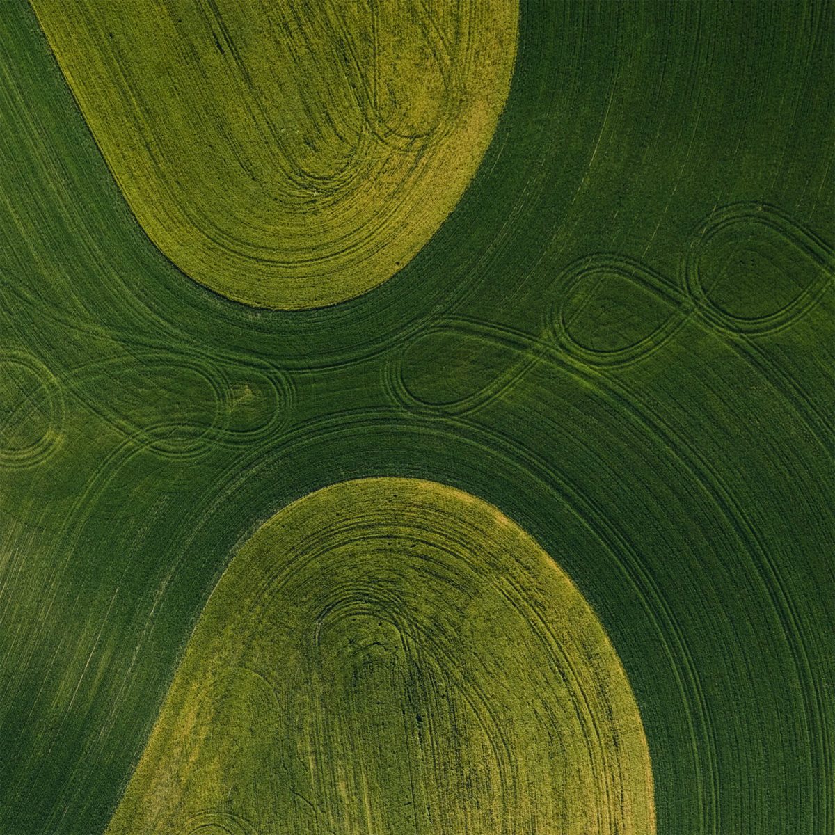 Mitch Rouse (The Palouse in Eastern Washington)