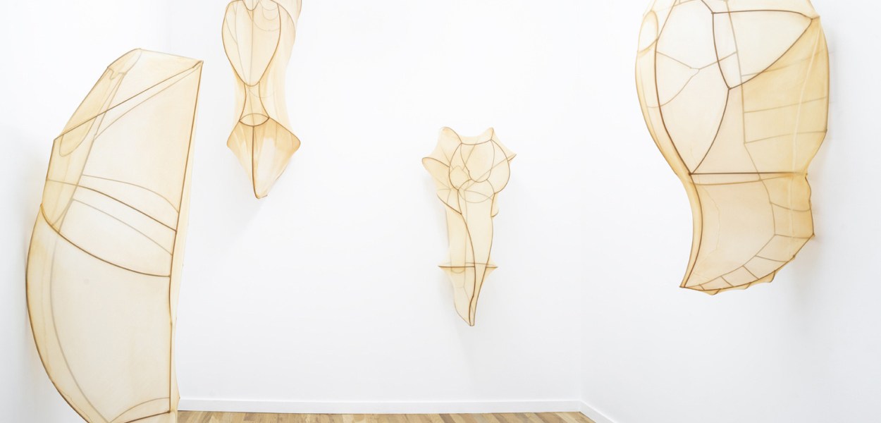 Encyclia Imagosis by Rosemary Holliday Hall