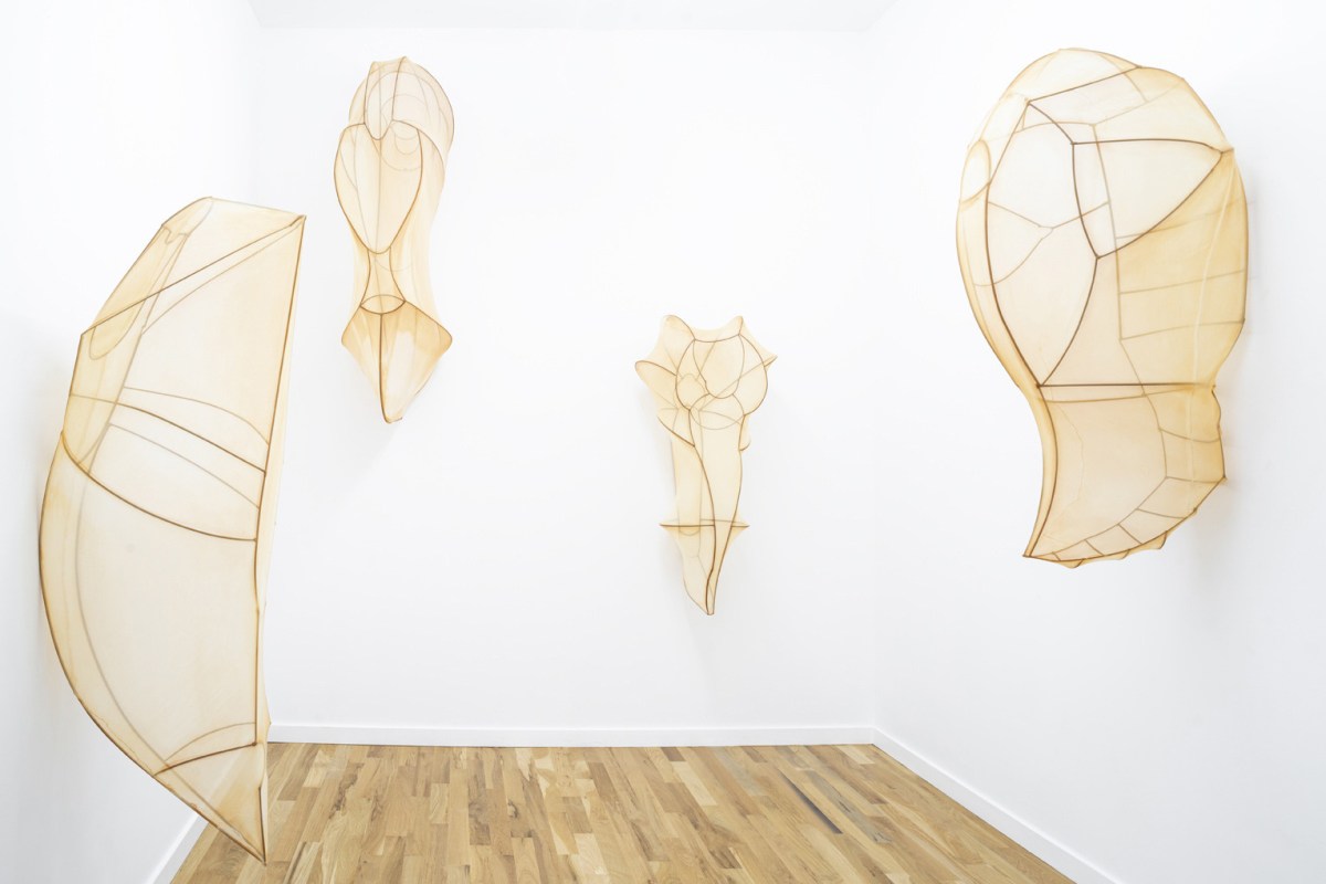 Encyclia Imagosis by Rosemary Holliday Hall