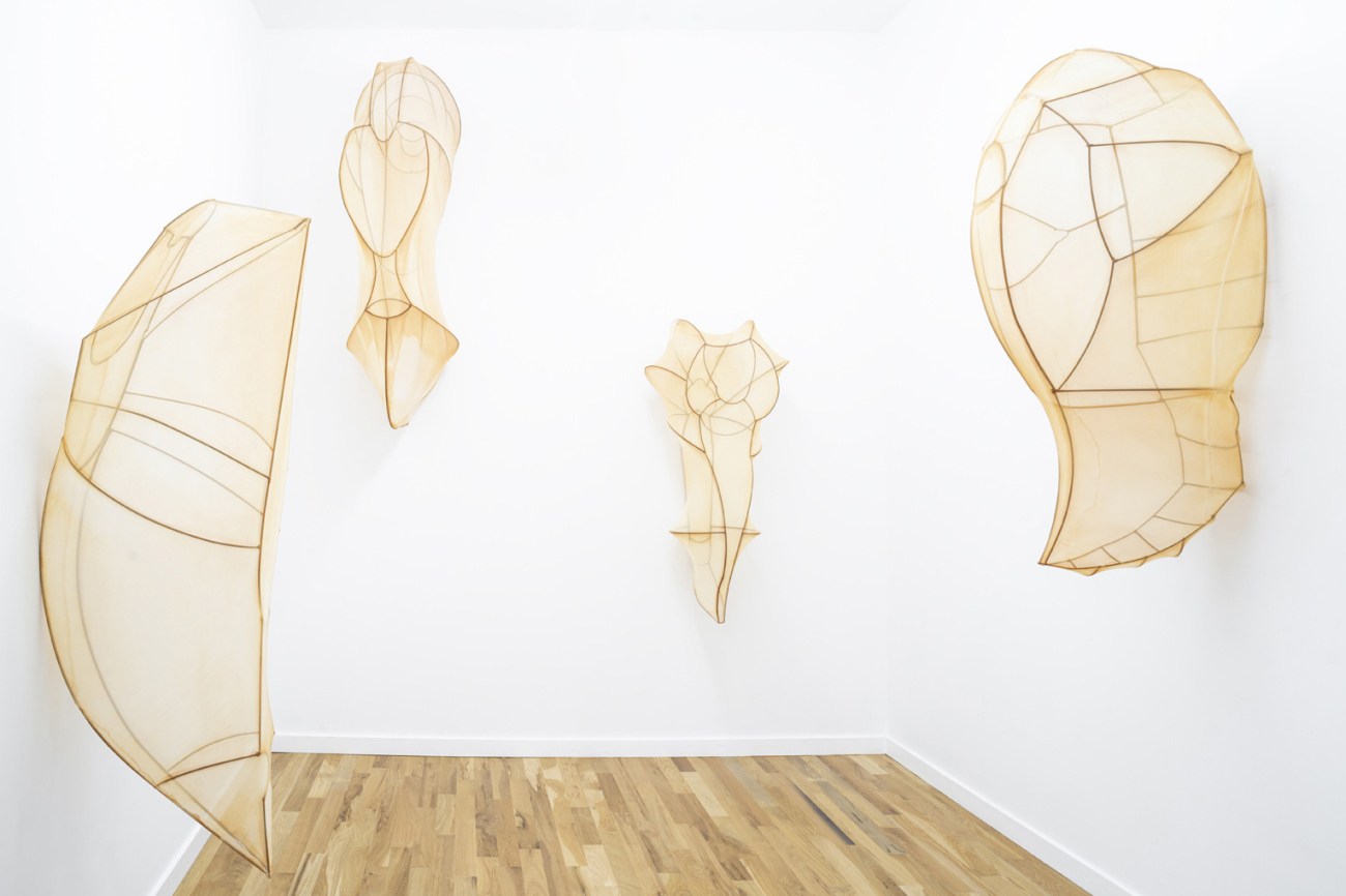 Encyclia Imagosis by Rosemary Holliday Hall