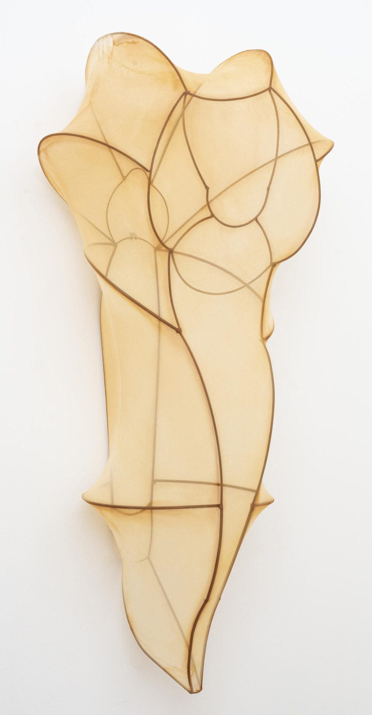 Encyclia Imagosis by Rosemary Holliday Hall