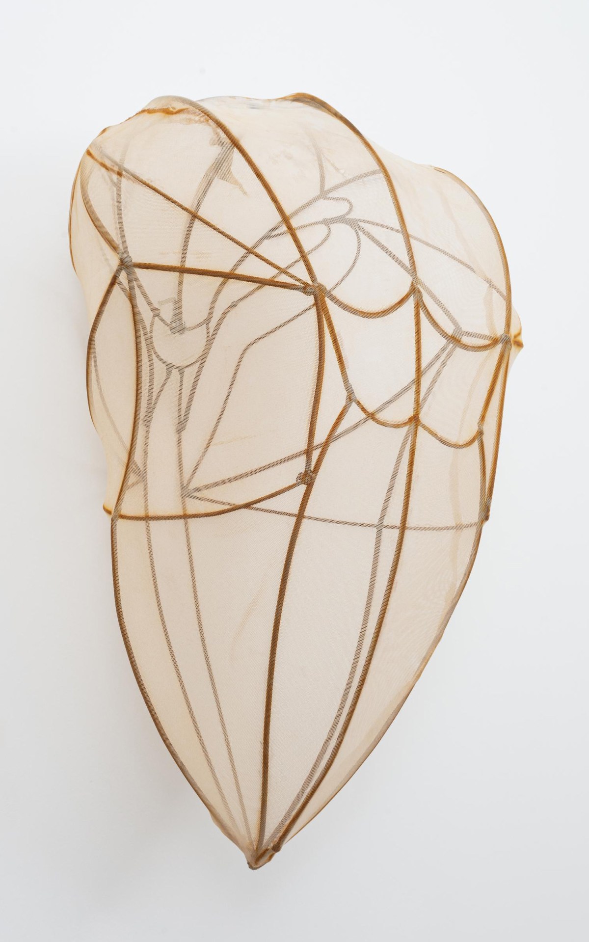 Encyclia Imagosis by Rosemary Holliday Hall