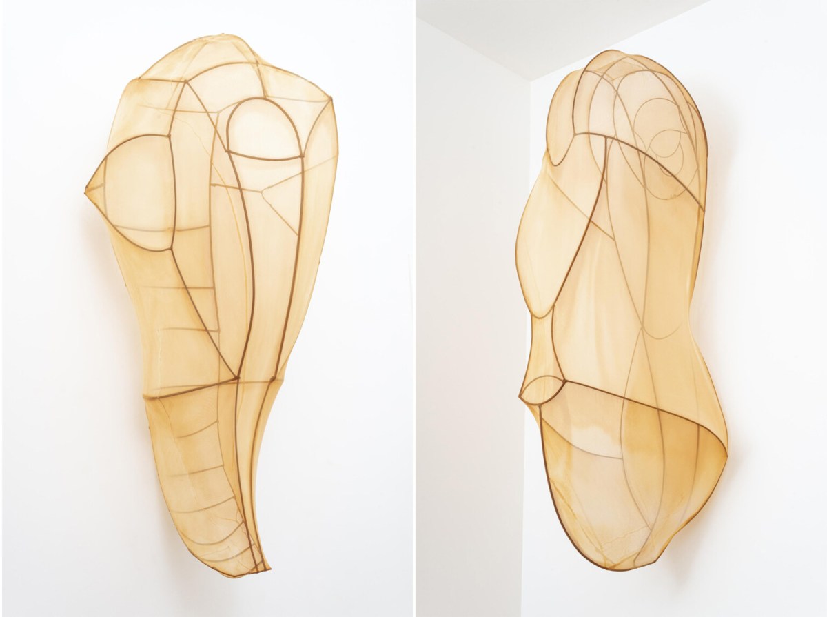 Encyclia Imagosis by Rosemary Holliday Hall